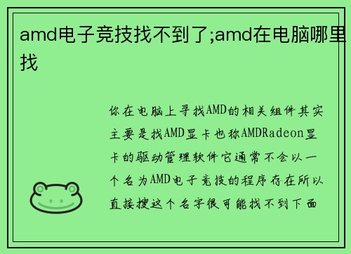 amd电子竞技找不到了;amd在电脑哪里找